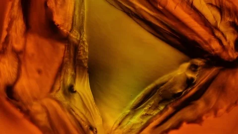 Chemical reaction under microscope 스톡 동영상 70736572
