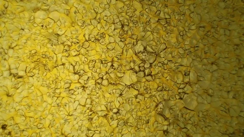 Chemical reaction under microscope Stock Footage 70736822