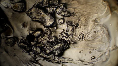 Chemical reaction under microscope Stock Footage 70736951