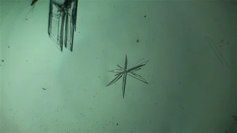 Chemical reaction under microscope Stock Footage 70736963