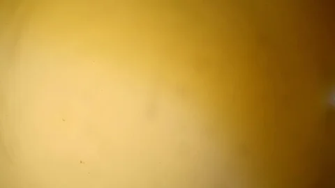 Chemical reaction under microscope 스톡 동영상 70737053