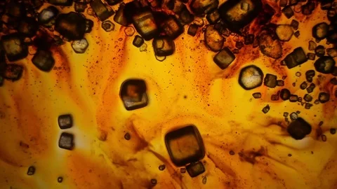 Chemical reaction under microscope 스톡 동영상 70737118