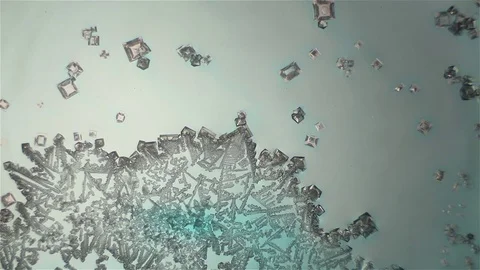 Chemical reaction under microscope Stock Footage 70737184