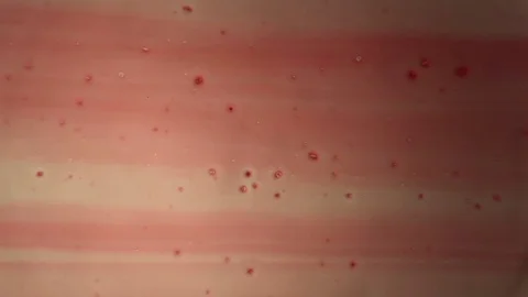 Chemical reaction under microscope 스톡 동영상 70737288