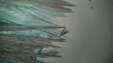 Chemical reaction under microscope 스톡 동영상 70737372