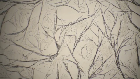 Chemical reaction under microscope Stock Footage 70737433