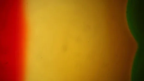 Chemical reaction under microscope 스톡 동영상 70737453