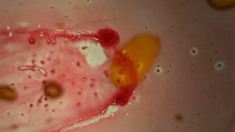 Chemical reaction under microscope 스톡 동영상 70737583