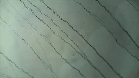 Chemical reaction under microscope Stock Footage 70737737