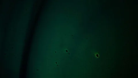 Chemical reaction under microscope 스톡 동영상 71108914