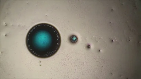 Chemical reaction under microscope 스톡 동영상 71108945