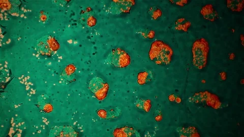 Chemical reaction under microscope Stock Footage 71109145