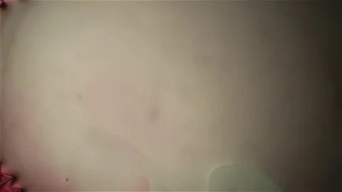 Chemical reaction under microscope Stock Footage 71109849