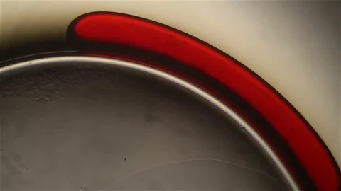 Chemical reaction under microscope 스톡 동영상 82548006