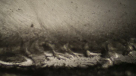 Chemical reaction under microscope Stock Footage 82548032