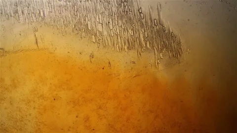 Chemical reaction under microscope Stock Footage 82548844