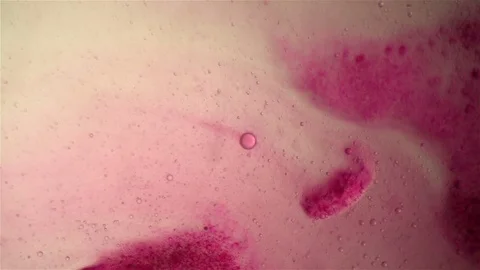 Chemical reaction under microscope Stock Footage 82548873