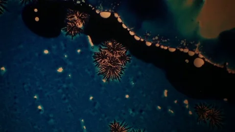 Chemical reaction under microscope Stock Footage 82548906