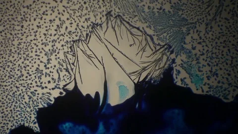 Chemical reaction under microscope 스톡 동영상 82549112
