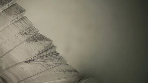 Chemical reaction under microscope Stock Footage 82549703