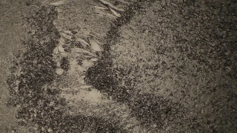 Chemical reaction under microscope 스톡 동영상 82550176