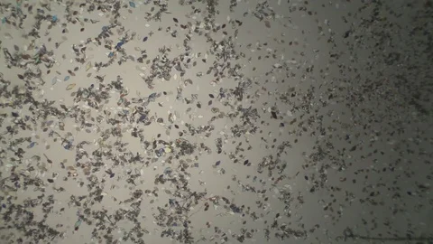 Chemical reaction under microscope 스톡 동영상 82550551