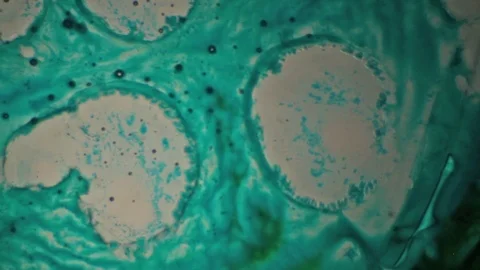 Chemical reaction under microscope Stock Footage 82550620