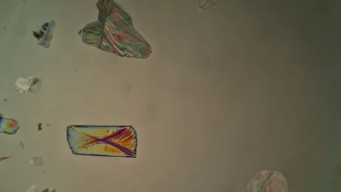 Chemical reaction under microscope Stock Footage 82550760