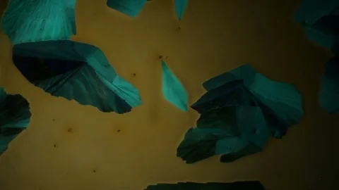 Chemical reaction under microscope Stock Footage 82551039