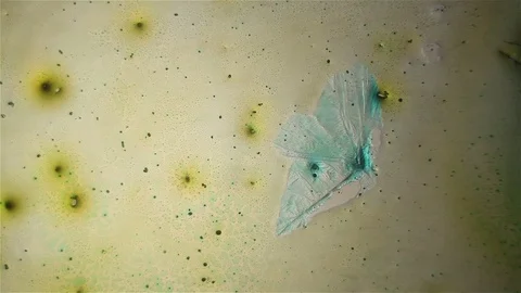 Chemical reaction under microscope Stock Footage 82551539