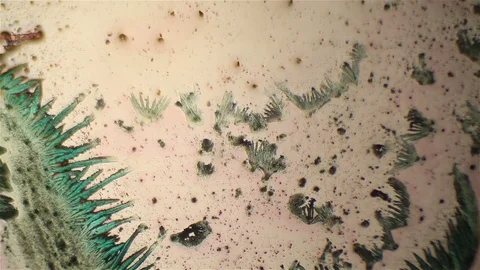 Chemical reaction under microscope 스톡 동영상 82551789