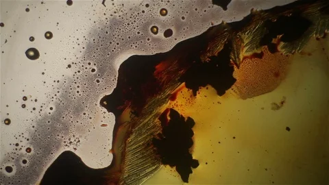 Chemical reaction under microscope Stock Footage 82554617