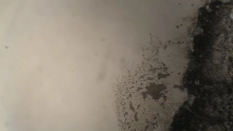 Chemical reaction under microscope Stock Footage 98545745