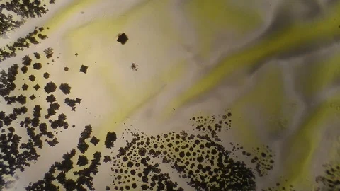 Chemical reaction under microscope Stock Footage 98545748