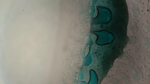 Chemical reaction under microscope Stock Footage 98545754