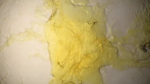 Chemical reaction under microscope Stock Footage 98545844