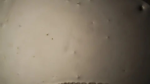 Chemical reaction under microscope Stock Footage 98545954