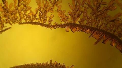 Chemical reaction under microscope Stock Footage 98546008
