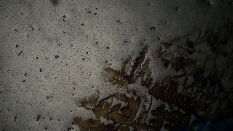 Chemical reaction under microscope Stock Footage 98546055