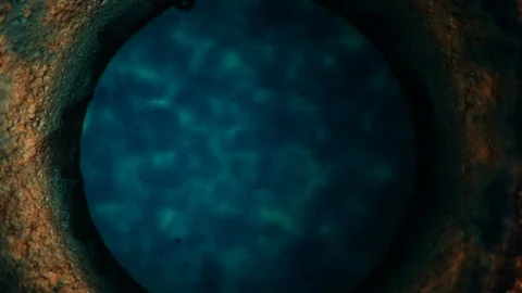 Chemical reaction under microscope Stock Footage 98546086