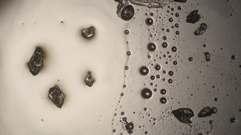 Chemical reaction under microscope Stock Footage 98546111