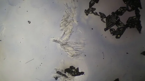 Chemical reaction under microscope Stock Footage 98546142