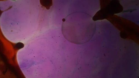 Chemical reaction under microscope Stock Footage 98546237