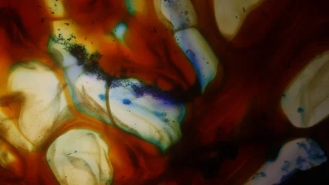 Chemical reaction under microscope Stock Footage 98546251