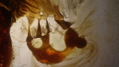 Chemical reaction under microscope Stock Footage 98546281