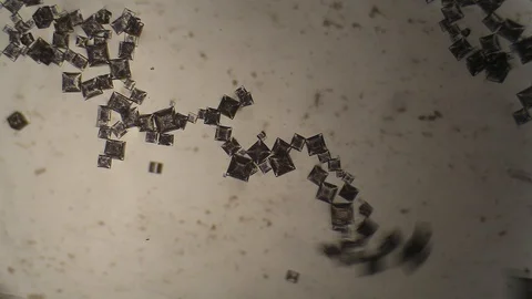 Chemical reaction under microscope Stock Footage 98546295