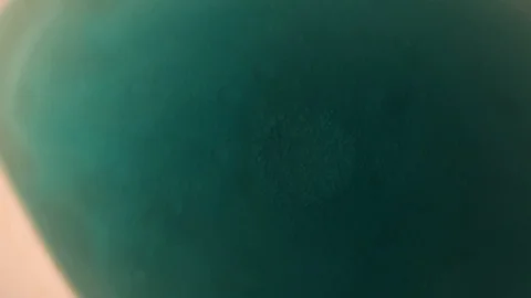 Chemical reaction under microscope Stock Footage 98546317