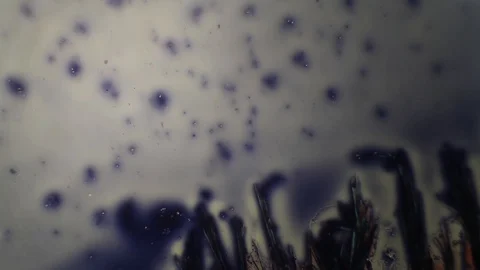 Chemical reaction under microscope Stock Footage 98546426