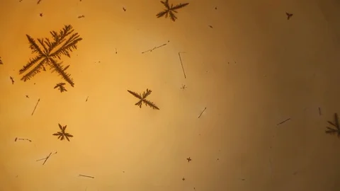 Chemical reaction under microscope Stock Footage 98546503