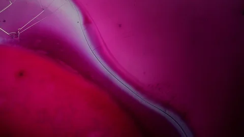 Chemical reaction under microscope Stock Footage 98546544
